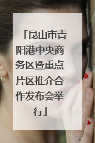 昆山市青阳港中央商务区暨重点片区推介合作发布会举行