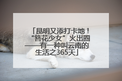 昆明又添打卡地！“簪花少女”火出圈——有一种叫云南的生活之365天