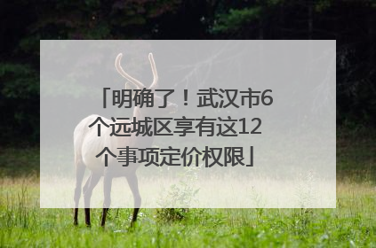 明确了！武汉市6个远城区享有这12个事项定价权限