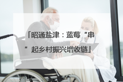 昭通盐津：蓝莓“串”起乡村振兴增收链