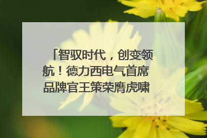 智驭时代，创变领航！德力西电气首席品牌官王策荣膺虎啸奖年度品牌人物