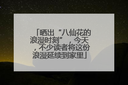 晒出“八仙花的浪漫时刻”，今天，不少读者将这份浪漫延续到家里