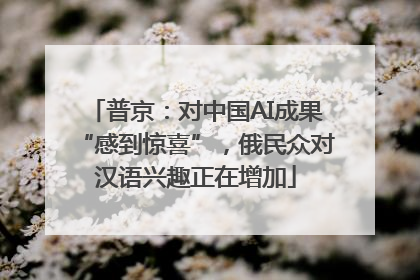 普京：对中国AI成果“感到惊喜”，俄民众对汉语兴趣正在增加