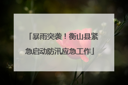 暴雨突袭！衡山县紧急启动防汛应急工作