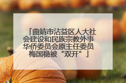 曲靖市沾益区人大社会建设和民族宗教外事华侨委员会原主任委员梅国稳被“双开”