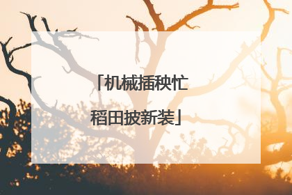 机械插秧忙 稻田披新装