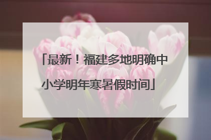 最新！福建多地明确中小学明年寒暑假时间