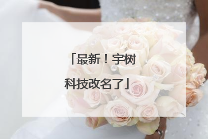 最新！宇树科技改名了