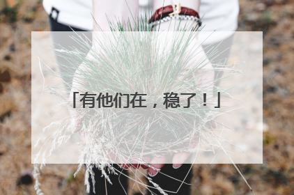 有他们在,稳了!
