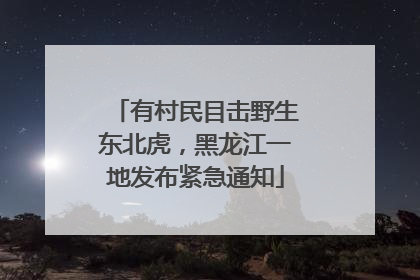 有村民目击野生东北虎，黑龙江一地发布紧急通知