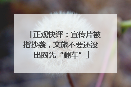 正观快评：宣传片被指抄袭，文旅不要还没出圈先“翻车”