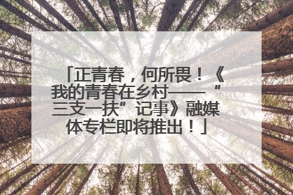 正青春，何所畏！《我的青春在乡村——“三支一扶”记事》融媒体专栏即将推出！