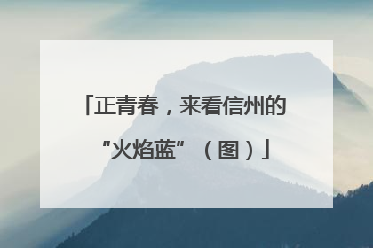 正青春，来看信州的“火焰蓝”（图）