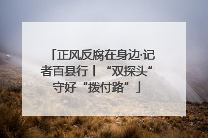 正风反腐在身边·记者百县行丨“双探头”守好“拨付路”