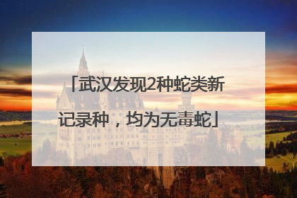 武汉发现2种蛇类新记录种，均为无毒蛇