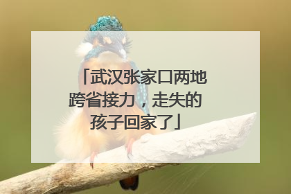 武汉张家口两地跨省接力，走失的孩子回家了