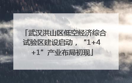 武汉洪山区低空经济综合试验区建设启动，“1+4+1”产业布局初现