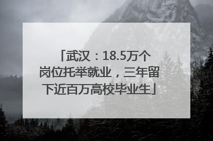 武汉：18.5万个岗位托举就业，三年留下近百万高校毕业生