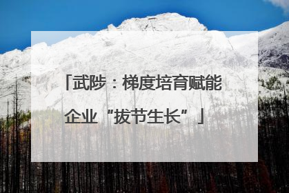 武陟：梯度培育赋能企业“拔节生长”