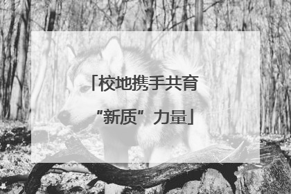 校地携手共育“新质”力量