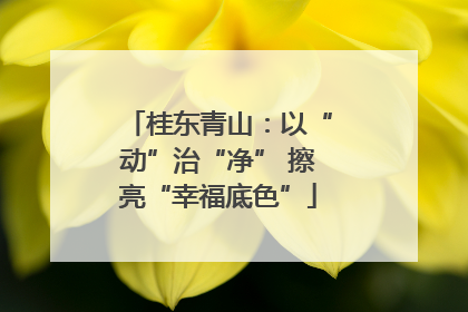 桂东青山：以“动”治“净” 擦亮“幸福底色”