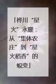 桦川“星火”永耀：从“集体农庄”到“星火稻香”的蜕变