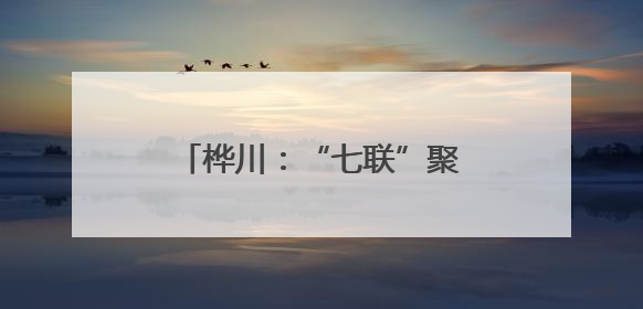 桦川：“七联”聚合力 党建开新局