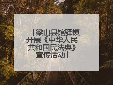 梁山县馆驿镇开展《中华人民共和国民法典》宣传活动