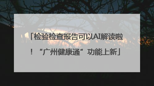 检验检查报告可以AI解读啦！“广州健康通”功能上新