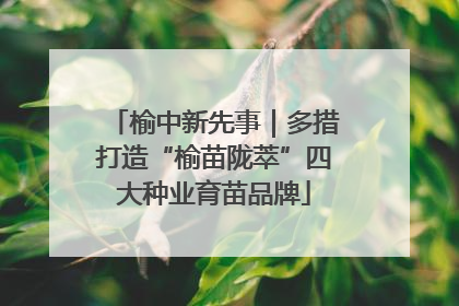 榆中新先事｜多措打造“榆苗陇萃”四大种业育苗品牌