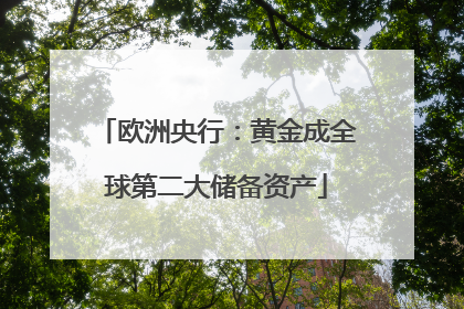 欧洲央行：黄金成全球第二大储备资产