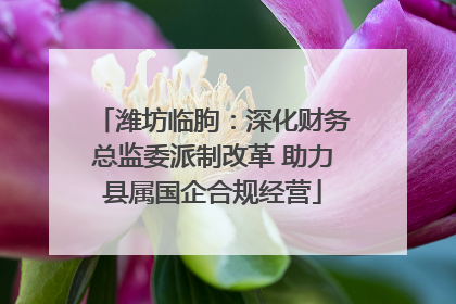 潍坊临朐：深化财务总监委派制改革 助力县属国企合规经营