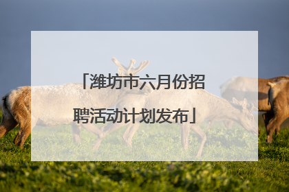 潍坊市六月份招聘活动计划发布