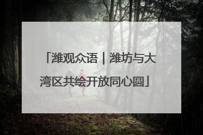 潍观众语｜潍坊与大湾区共绘开放同心圆