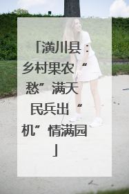 潢川县：乡村果农“愁”满天  民兵出“机”情满园