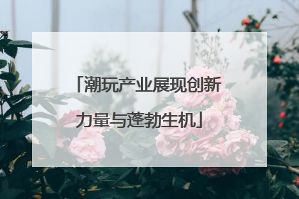 潮玩产业展现创新力量与蓬勃生机