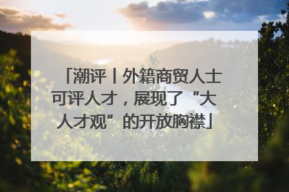 潮评丨外籍商贸人士可评人才，展现了“大人才观”的开放胸襟