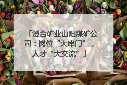 澄合矿业山阳煤矿公司：岗位“大串门”，人才“大交流”