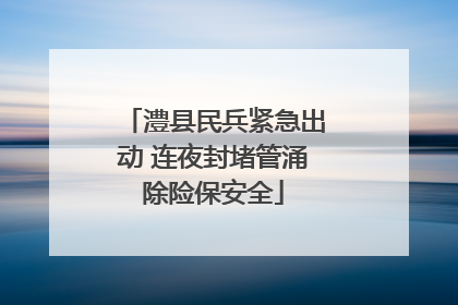 澧县民兵紧急出动 连夜封堵管涌除险保安全