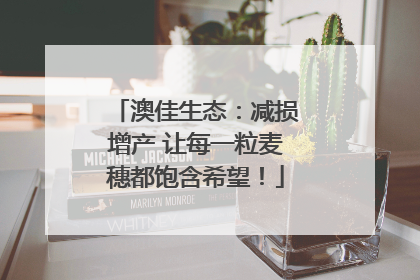 澳佳生态：减损增产 让每一粒麦穗都饱含希望！