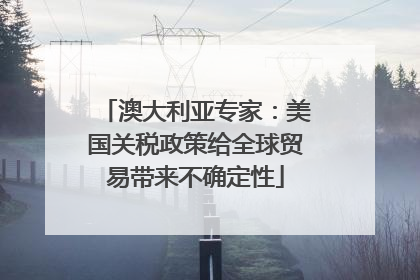 澳大利亚专家：美国关税政策给全球贸易带来不确定性