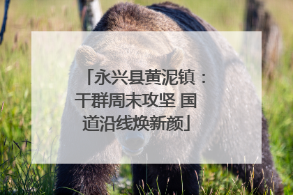 永兴县黄泥镇：干群周末攻坚 国道沿线焕新颜