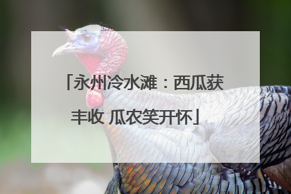 永州冷水滩：西瓜获丰收 瓜农笑开怀