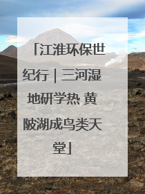 江淮环保世纪行｜三河湿地研学热 黄陂湖成鸟类天堂
