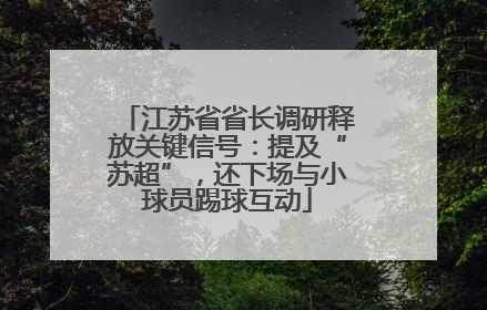 江苏省省长调研释放关键信号：提及“苏超”，还下场与小球员踢球互动