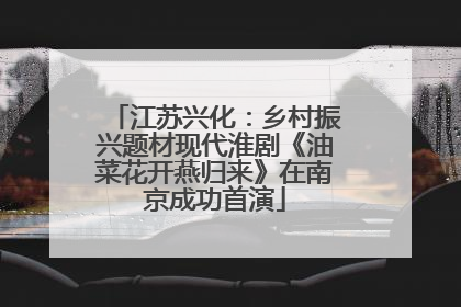 江苏兴化：乡村振兴题材现代淮剧《油菜花开燕归来》在南京成功首演