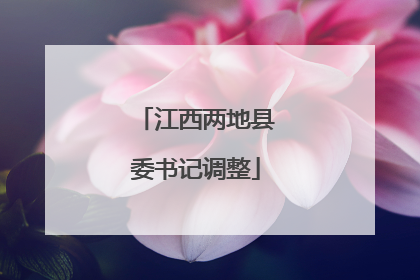 江西两地县委书记调整