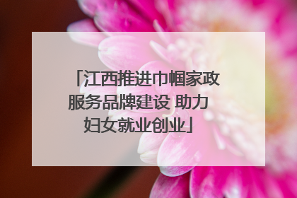 江西推进巾帼家政服务品牌建设 助力妇女就业创业