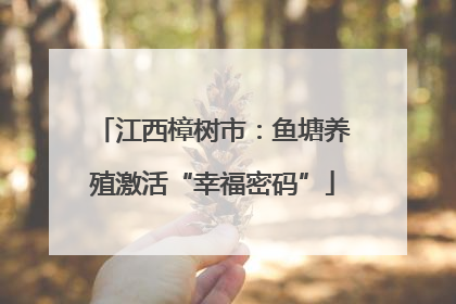 江西樟树市：鱼塘养殖激活“幸福密码”
