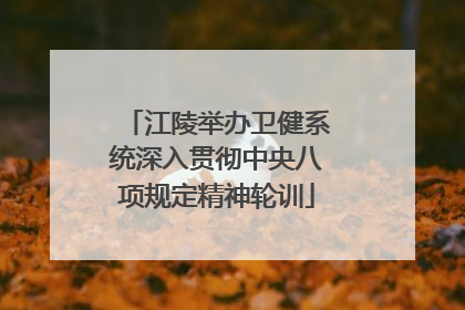 江陵举办卫健系统深入贯彻中央八项规定精神轮训